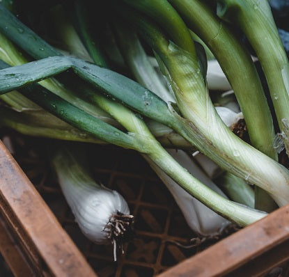 Tagliatelle with Leeks