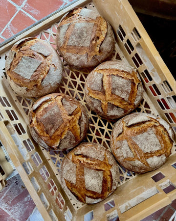 Rustic French Loaf, Wild Hearth