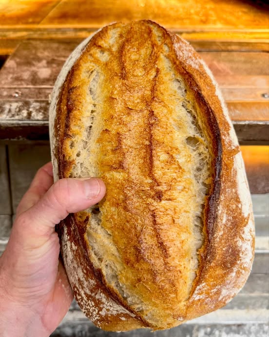 Seeded Sourdough, Wild Hearth