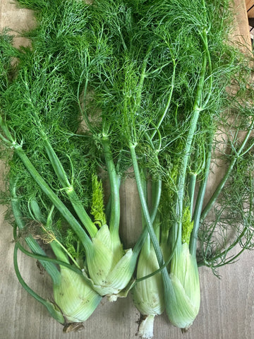 Fennel, Bonnytoun